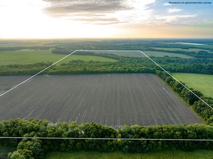 Undeveloped Land for sale in Noxubee County, Mississippi