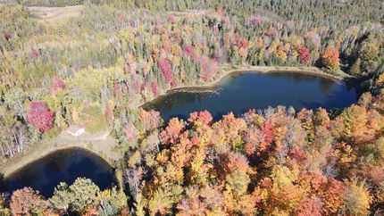 Property for sale in Ogemaw County, Michigan