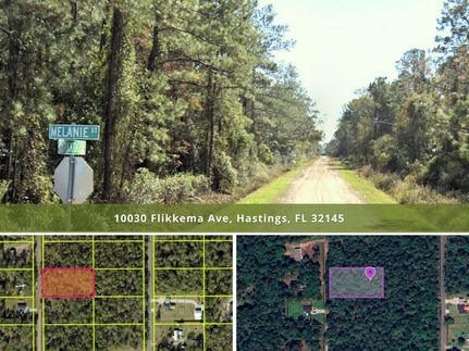 Property for sale in Flagler County, Florida