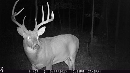 Recreational Property for sale in Bond County, Illinois