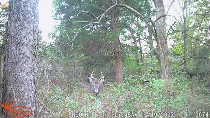 Farm Property for sale in Taylor County, Iowa