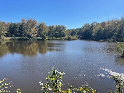 Property for sale in Wilkes County, Georgia