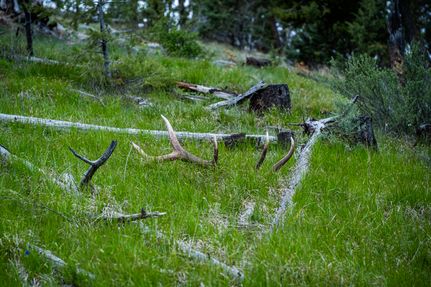 Recreational Property for sale in Grant County, Oregon