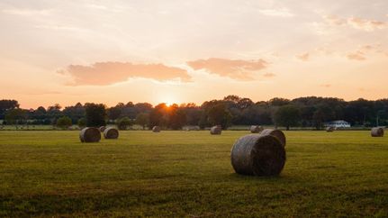 Undeveloped Land for sale in Madison County, Alabama