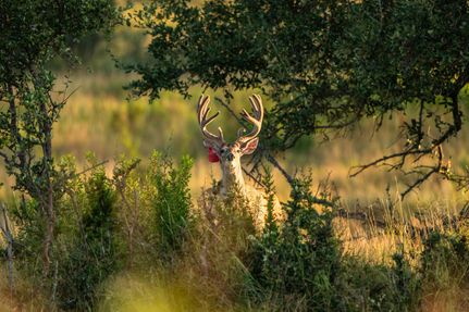 Property for sale in Kimble County, Texas