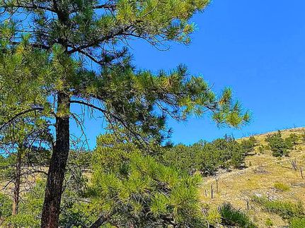 Recreational Property for sale in Fremont County, Colorado