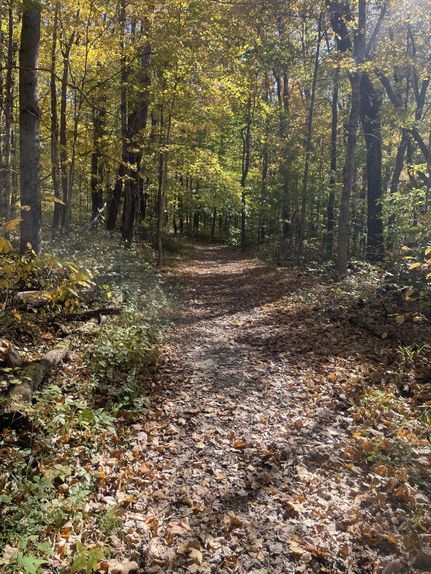 Property for sale in Crawford County, Indiana