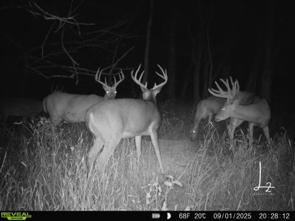 Property for sale in Neosho County, Kansas