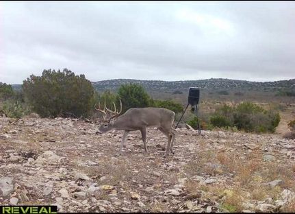 Property for sale in Edwards County, Texas