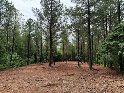 Property for sale in Van Buren County, Tennessee