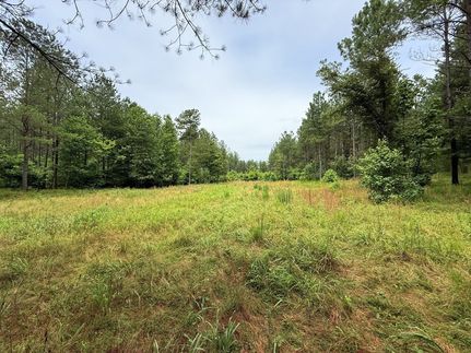 Undeveloped Land for sale in Van Buren County, Tennessee