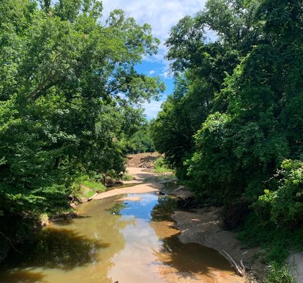 Property for sale in Claiborne County, Mississippi