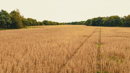 Property for sale in Pope County, Illinois