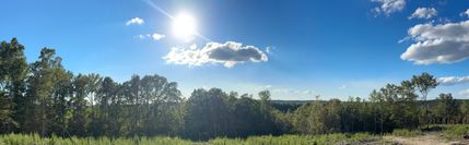 Undeveloped Land for sale in Chatham County, North Carolina