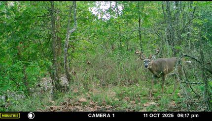 Property for sale in Miller County, Missouri