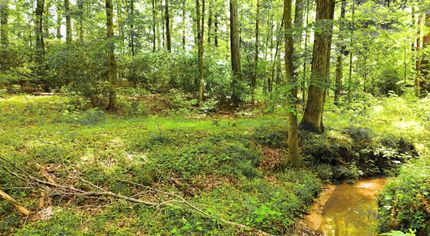 Property for sale in Shelby County, Alabama