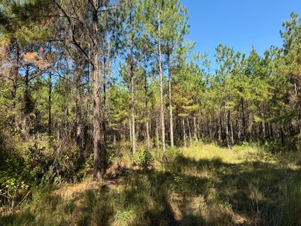 Hunting Land for sale in Houston County, Alabama