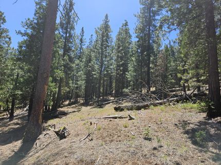 Property in Modoc County, California