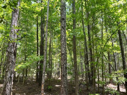 Property in Montgomery County, Alabama