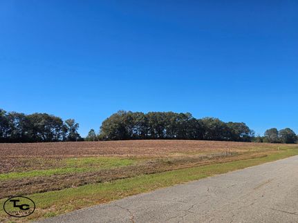 Property for sale in Covington County, Alabama