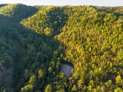 Undeveloped Land for sale in Scioto County, Ohio