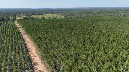 Property in Appling County, Georgia