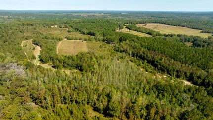 Recreational Property for sale in Schley County, Georgia