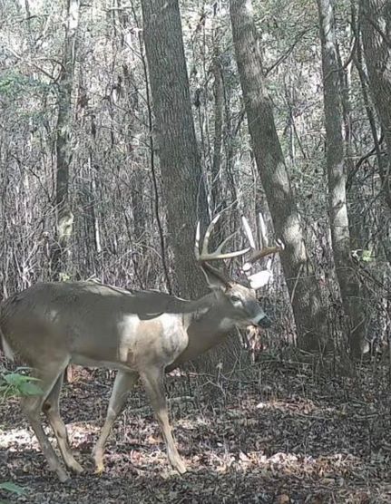 Property for sale in Peach County, Georgia