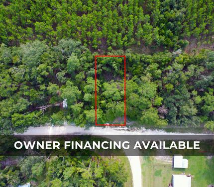 Undeveloped Land for sale in Suwannee County, Florida