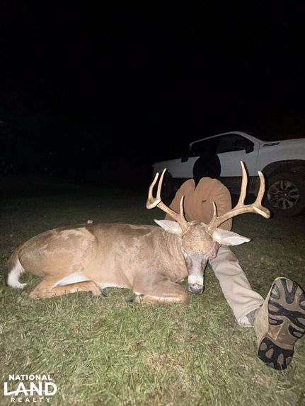 Property in Houston County, Alabama