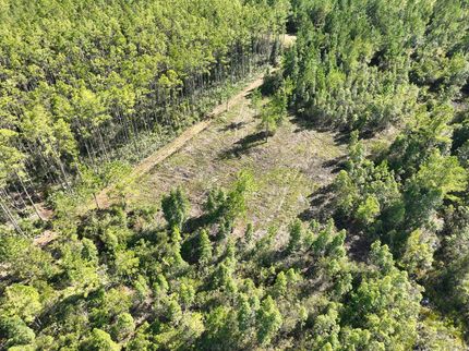 Property for sale in Camden County, Georgia