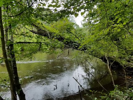 Property in Colleton County, South Carolina