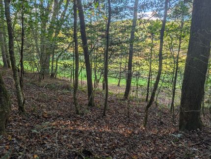 Property for sale in Cherokee County, North Carolina