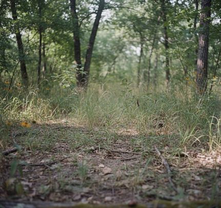 Property for sale in Cherokee County, Oklahoma