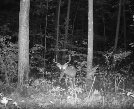 Property for sale in Mille Lacs County, Minnesota