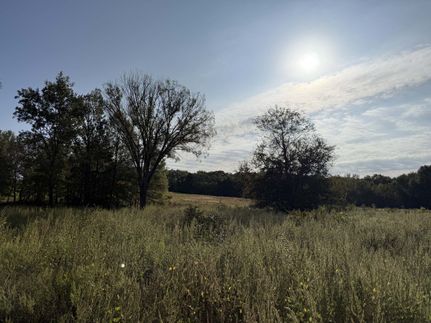 Hunting Land for sale in Van Zandt County, Texas