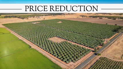 Farm Property for sale in Butte County, California