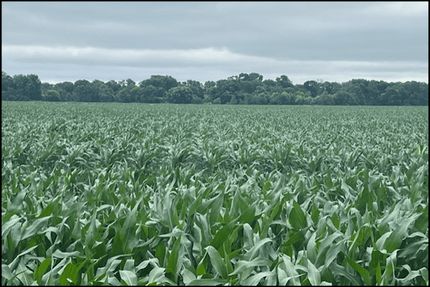 Hunting Land for sale in Pierce County, Nebraska