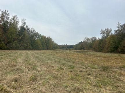 Undeveloped Land for sale in Benton County, Tennessee