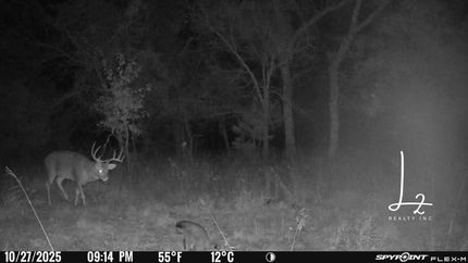 Property for sale in Woodson County, Kansas