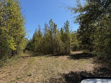 Undeveloped Land for sale in Fayette County, Tennessee