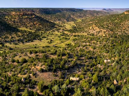 Property for sale in Union County, New Mexico