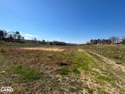 Ranch Property for sale in Smyth County, Virginia