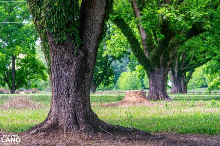 Undeveloped Land for sale in Hinds County, Mississippi