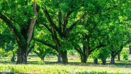 Property for sale in Hinds County, Mississippi