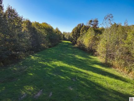 Undeveloped Land for sale in Carlisle County, Kentucky
