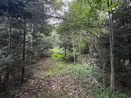 Undeveloped Land for sale in Somerset County, Maine