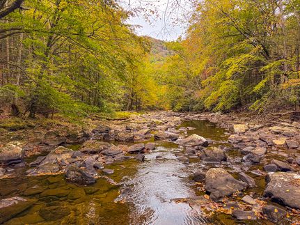 Property for sale in Webster County, West Virginia