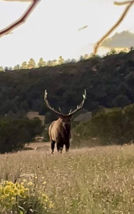 Recreational Property for sale in McKinley County, New Mexico