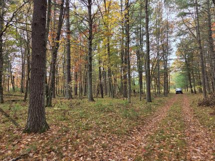 Property for sale in Marinette County, Wisconsin